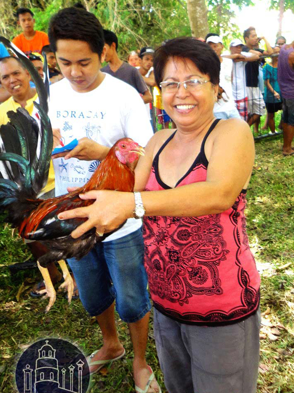Phillippines cock fighting in Dumaguete 2014