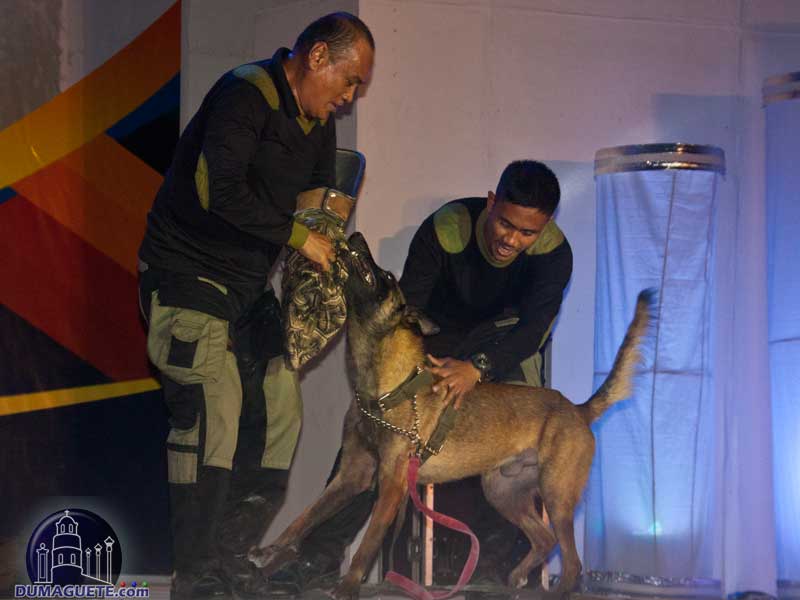 Sandurot Festival - Army Dog Presentation