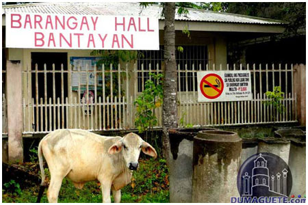 Bantayan Barangay Hall
