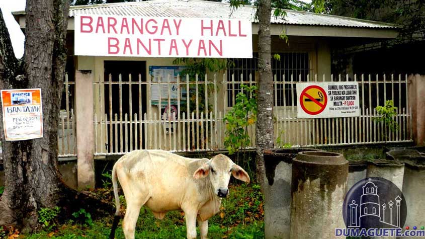 Barangay Hall in Bantayan