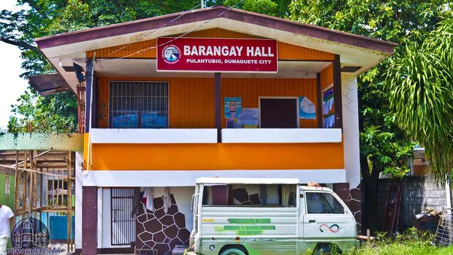 Dumaguete Pulantubig 2017 Barangay Hall