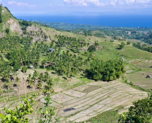 Jimalalud Kantulalak Rice Field