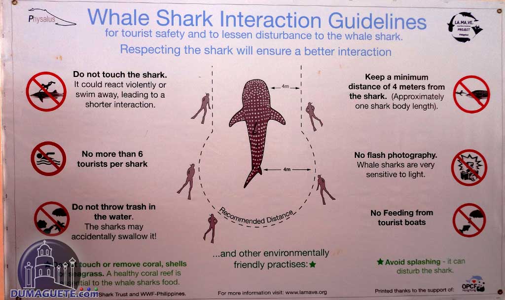 Whale-Shark - Interaction Guidelines