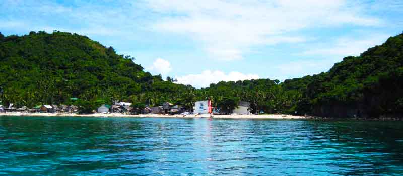 Diving Apo Island