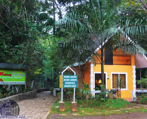 Mabinay Spring Resort - Cottage