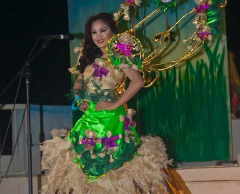 Miss Bayawan 2015 Coronation Night