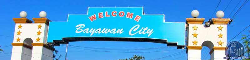 Bayawan City