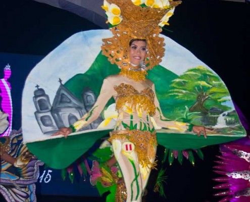 Miss Canlaon Festival Costume