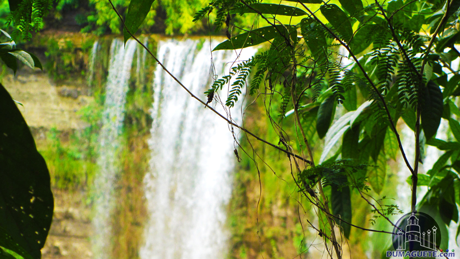 Bayawan City Niludhan Falls