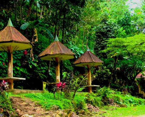 Bayawan City Niludhan Falls cottage