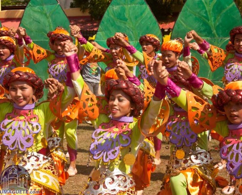 Guihulugan Festival of Guihulngan