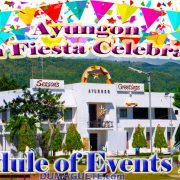 Ayungon Fiesta Celebration 2017
