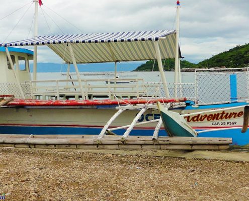 Boat rental fare- Dolphin watching in Bais