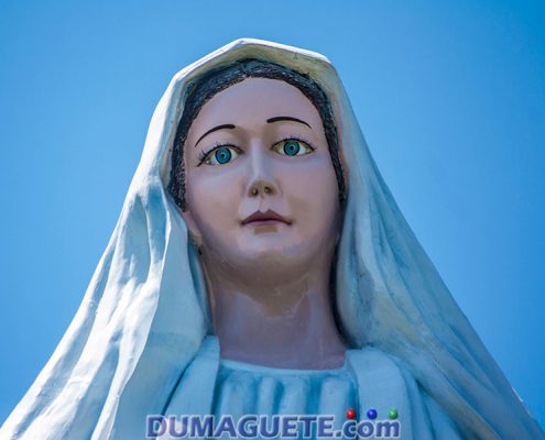 Mama Mary Our Lady's Garden in Sibulan - Negros Oriental