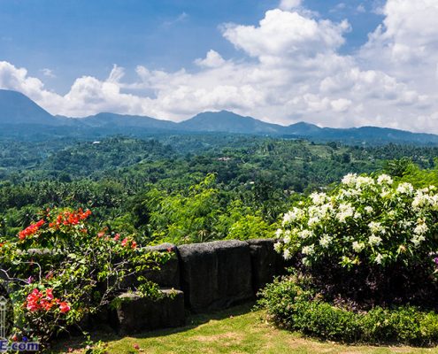 Mama Mary's Garden - Sibulan - Negros Oriental - Mountain View