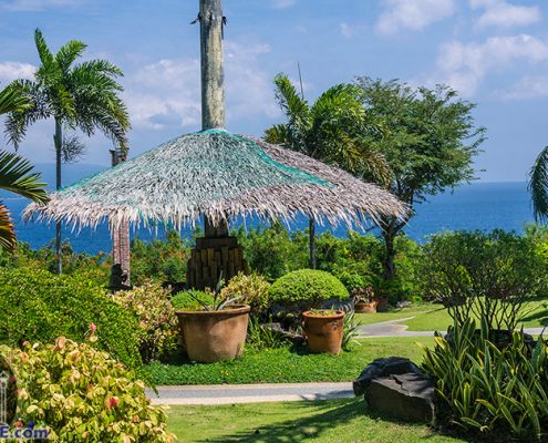 Our Lady's Garden -Sibulan- Negros Oriental