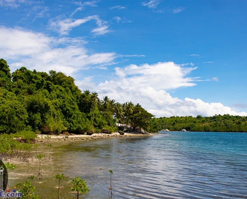 Siaton - Negros Oriental - Turtle Island - Beach