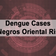 Dengue Cases in Negros Oriental Rises