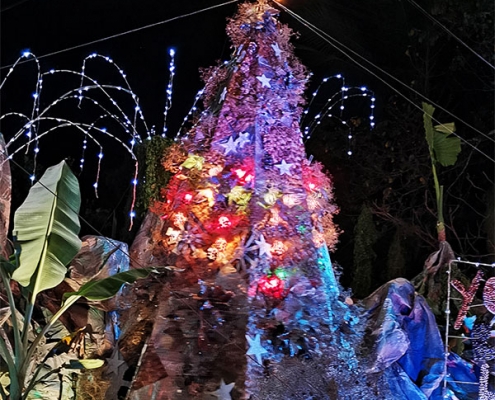 Lingganay Festival 2019 - Christmas Tree Competition