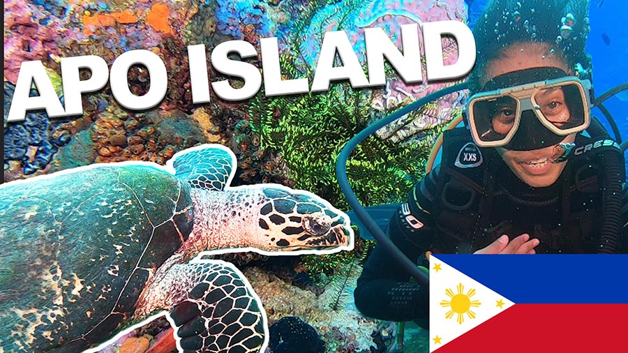 Scuba Diving in Apo Island (TURTLE ISLAND) – Video - Negros Oriental