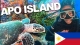 Scuba Diving in Apo Island (TURTLE ISLAND) – Video