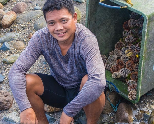 Local Fisherman - Sea Urchin