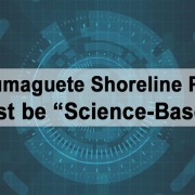 Next Dumaguete Shoreline Projects Must be Science-Based