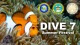 Dive 7 Summer Festival 2021 - Schedule of Activities