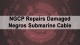 NGCP Repairs Damaged Negros Submarine Cable