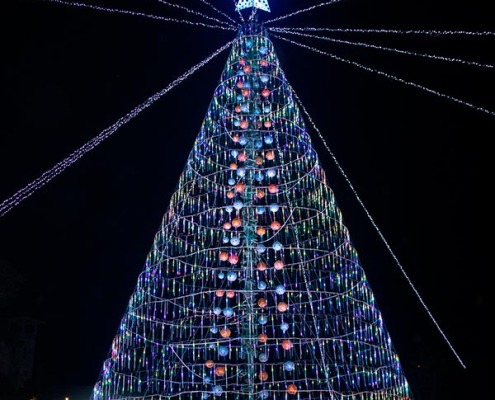 Valencia Christmas Tree - Lighting Ceremony 2