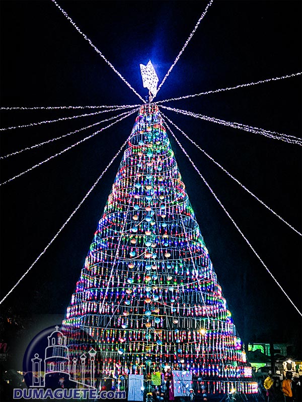 Valencia Christmas Tree