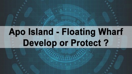 Apo Island Floating Wharf – Develop or Protect?