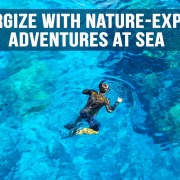 Re-energize with Nature-Exploring adventures at Sea
