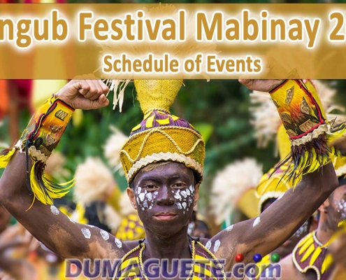 Mabinay Fiesta & Langub Festival 2025