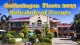 Guihulngan City 2025 Fiesta Schedule of Events