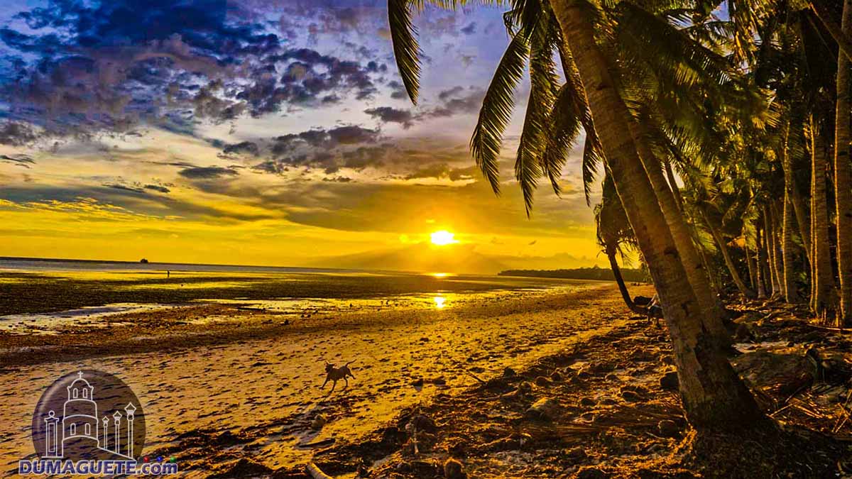 Dumanhog White Beach Siquijor Sunset