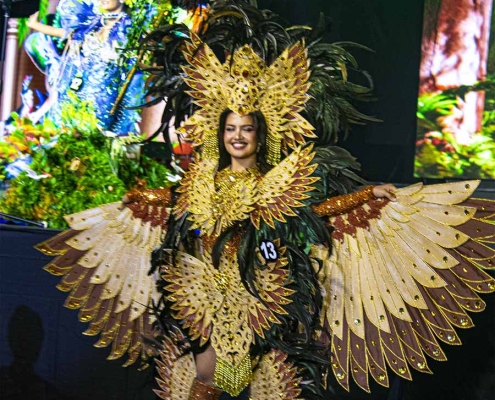 Buglasan 2025- Miss Negros Oriental Festival Costume-13 Steffany Representing Municipality of San Jose 01 copy