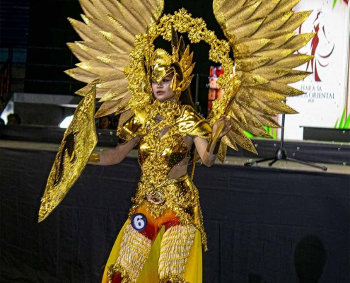 Buglasan 2025- Miss Negros Oriental Festival Costume-6 Ann Nicole Representing Municipality of Bacong 01 copy