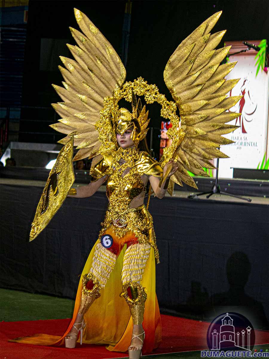 Buglasan 2025- Miss Negros Oriental Festival Costume-6 Ann Nicole Representing Municipality of Bacong 01 copy